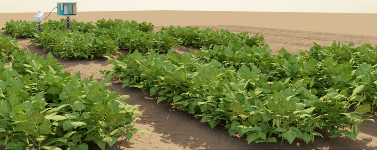 AI也能种地了？2025在深圳当“数字农民”！