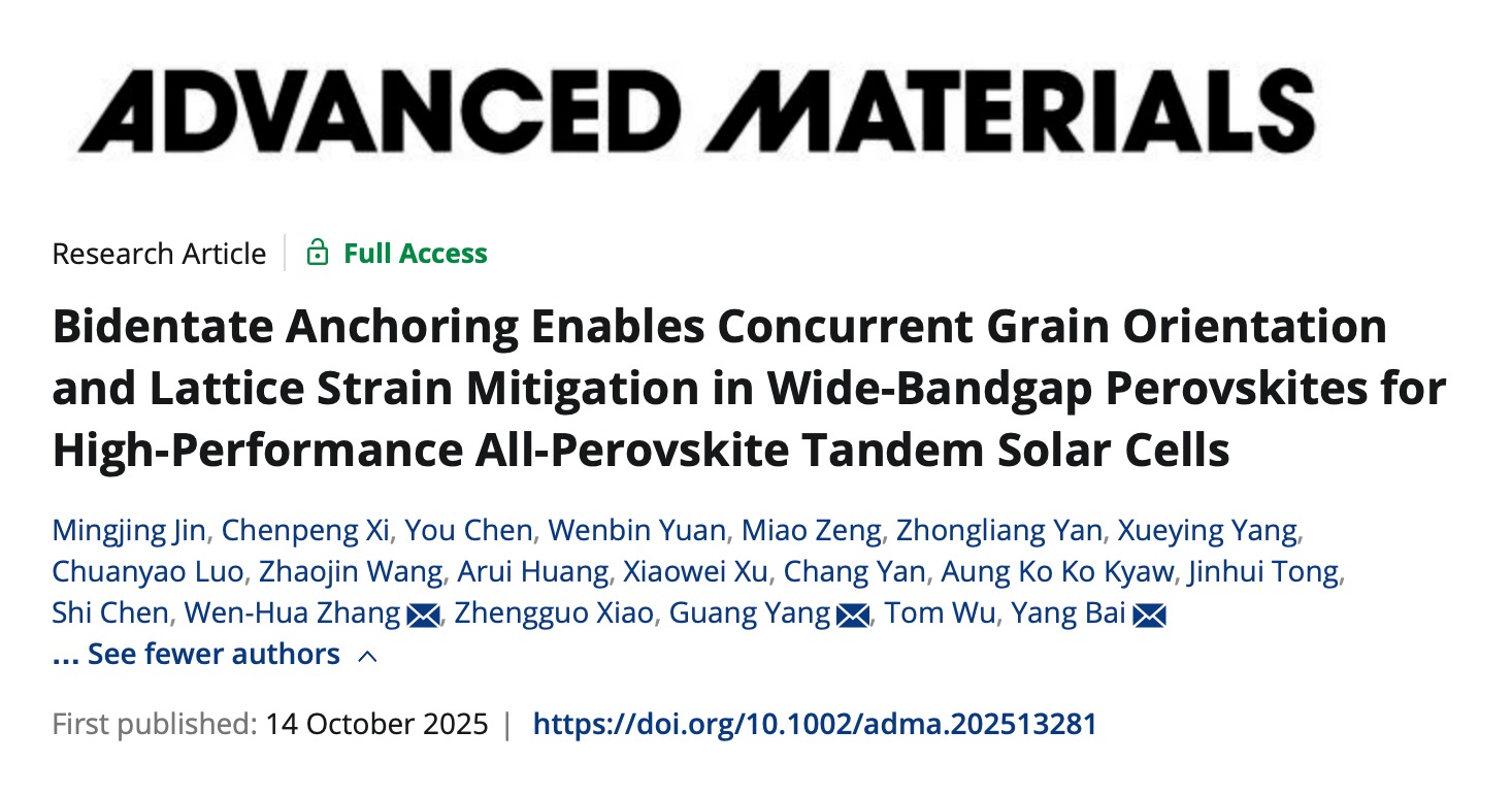 Advanced Materials｜深圳理工大学白杨团队联合发表钙钛矿叠层光伏研究新成果