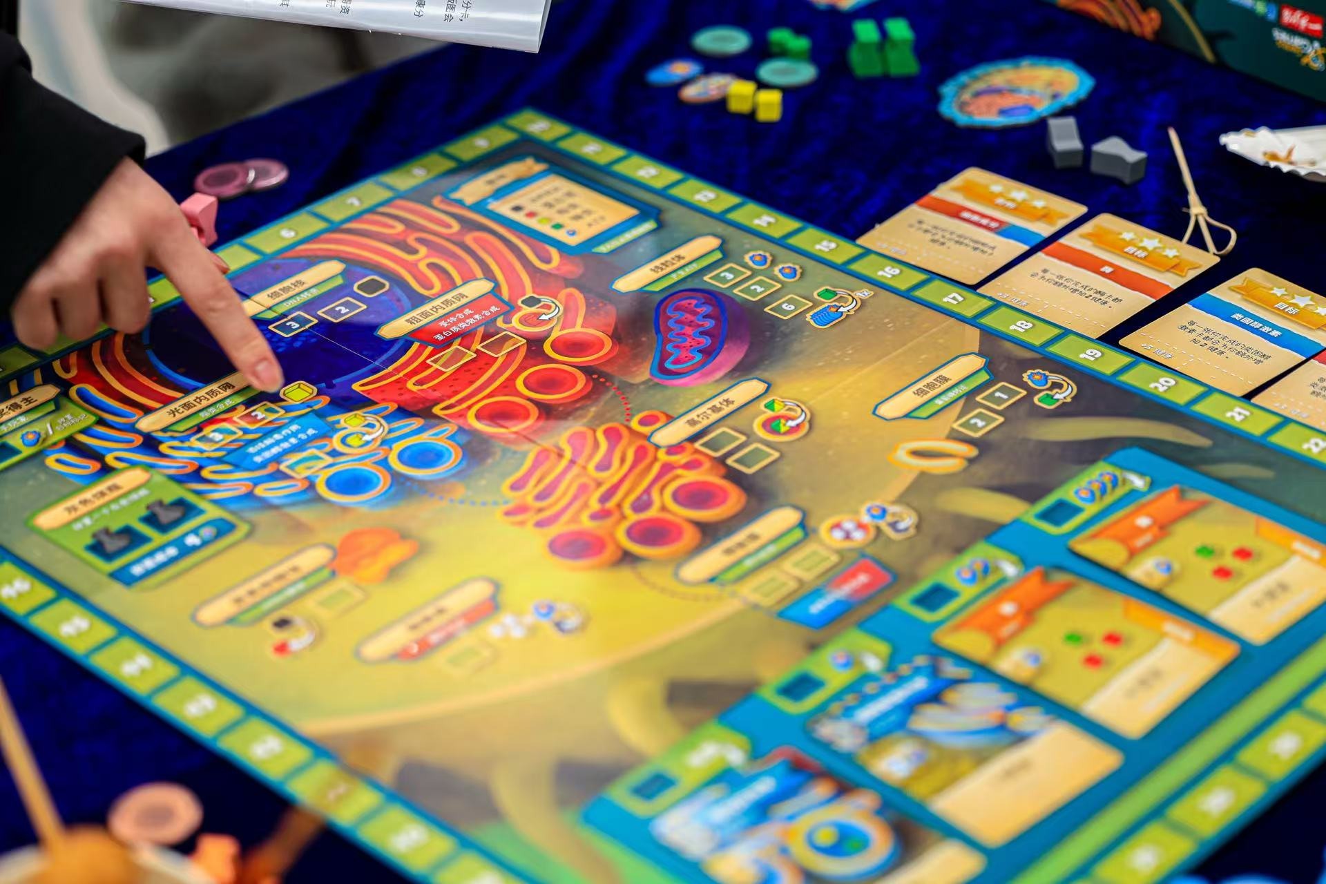 深圳理工大学举办“合成生物之夜”，跨界对话共探学科未来