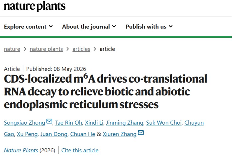 植物抗压有奇招：深圳理工大学团队揭秘植物响应新机制