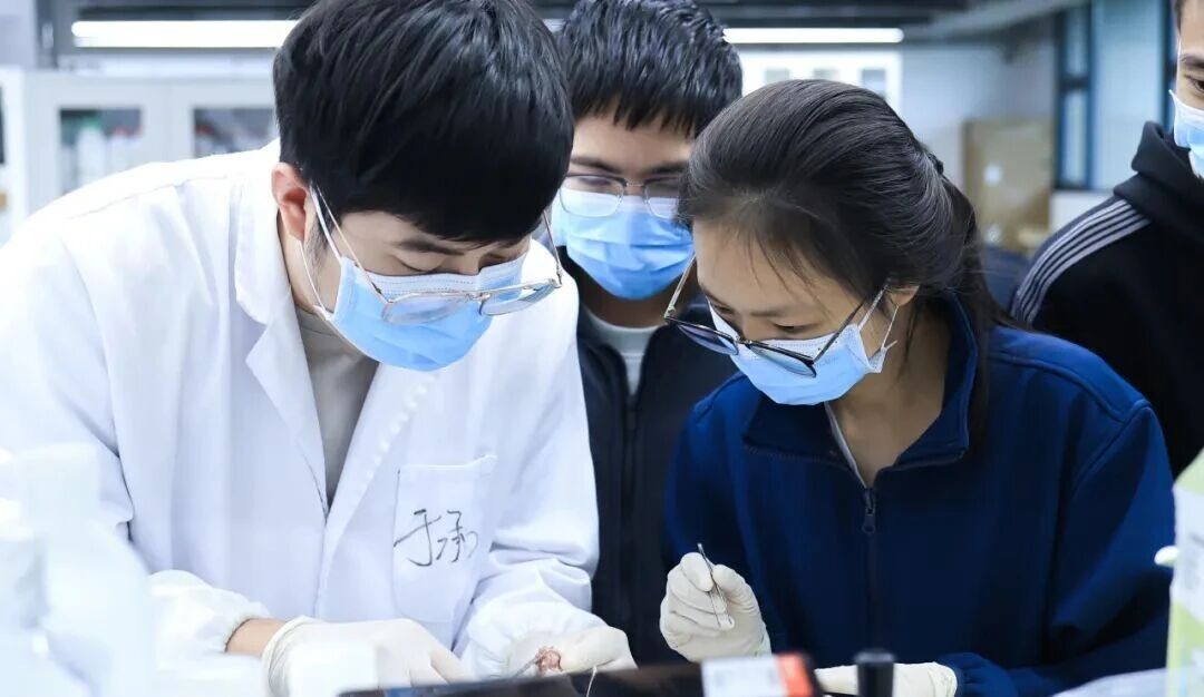 周五不上课｜大一学生在前沿企业和国家级实验室探索“终极疆域”