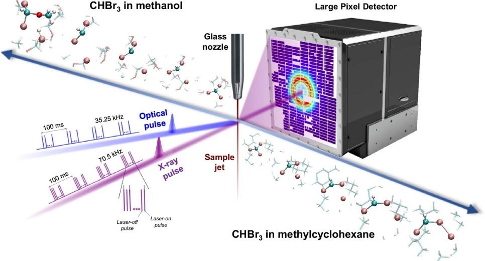 深圳理工大学团队揭示溶剂调控的分子反应奥秘