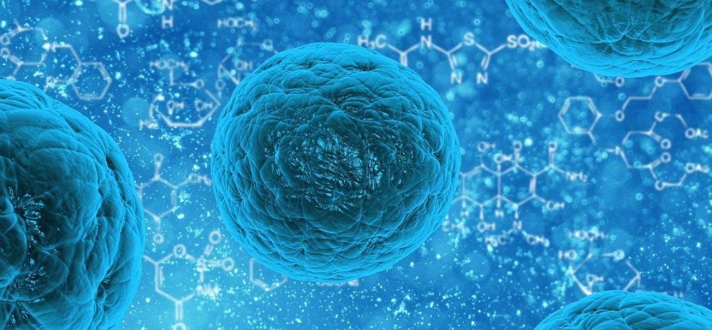 Researchers Developed an Engineered P. Aeruginosa Strain to Realize the Optical Control of the Movement Behavior of the Bacteria