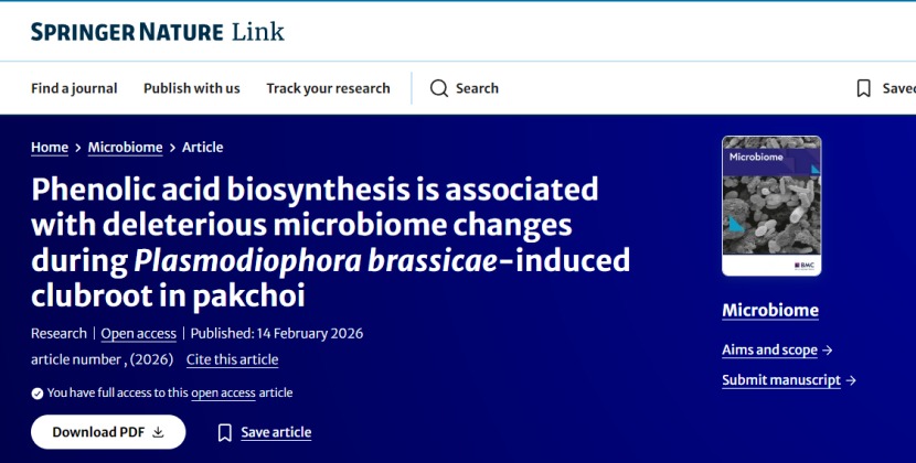 土传病害解密！深圳理工团队合作揭示病原菌“借刀杀敌”致病机制